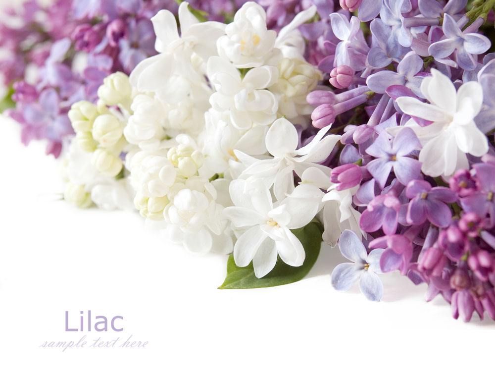 喜訊！2017七夕節的一份中標通知書(shū)