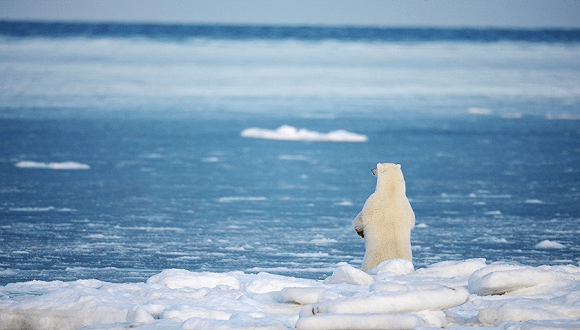 未來(lái)50年能源系統格局將大變，江蘇江河順應時(shí)局，生態(tài)發(fā)展！