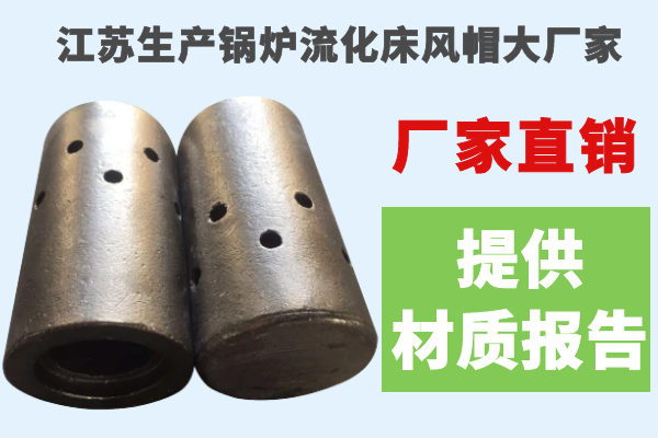 江蘇生產(chǎn)鍋爐流化床風(fēng)帽大廠(chǎng)家