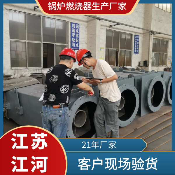 超低氮鍋爐燃燒器生產(chǎn)廠(chǎng)家